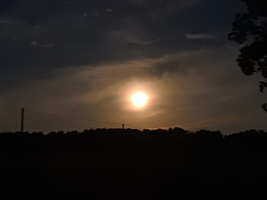 1 June 5th 2020 Full Honey Moon