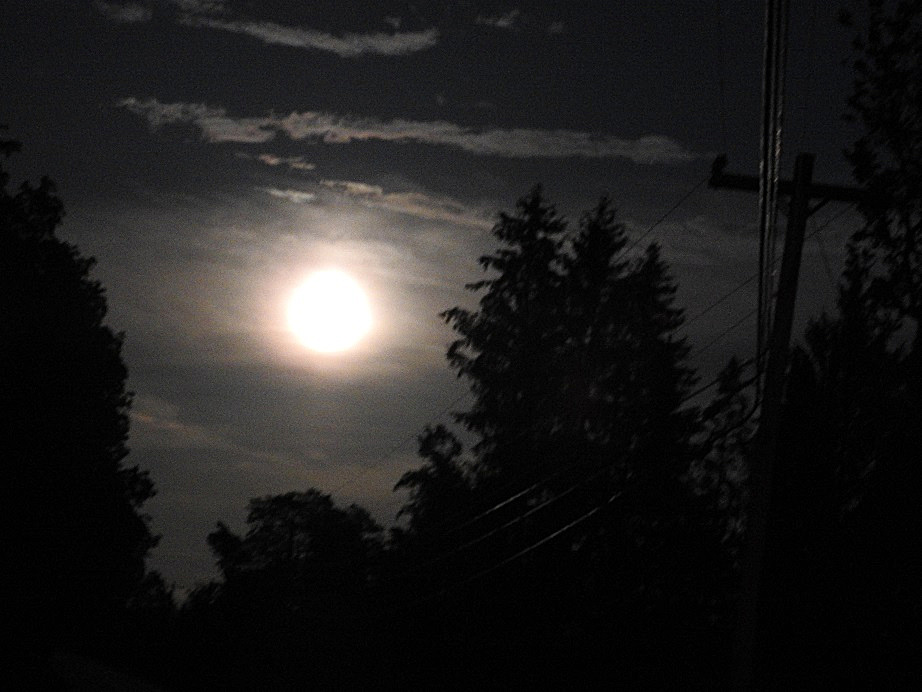 5 June 5th 2020 Full Honey Moon
