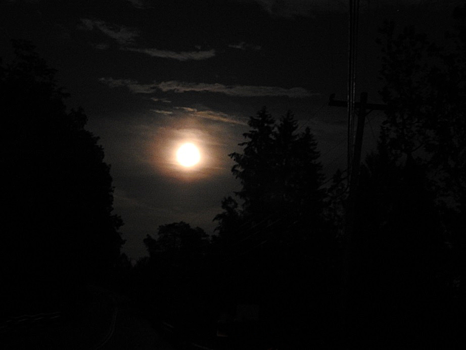 6 June 5th 2020 Full Honey Moon